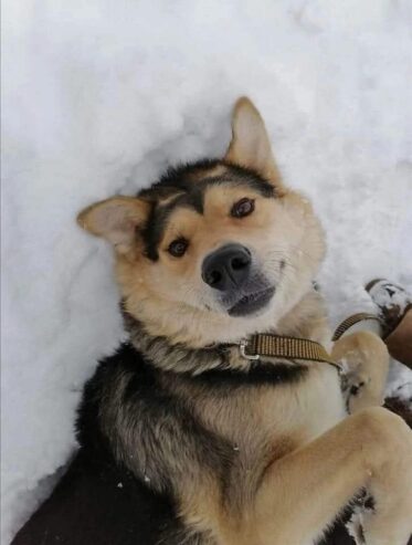 ХОЧУ ДОМОЙ! ЯШКА!