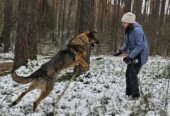 🌟 DŽULIANS – LABĀKAIS DRAUGS, KURU TU VĒL NEPAZĪSTI!